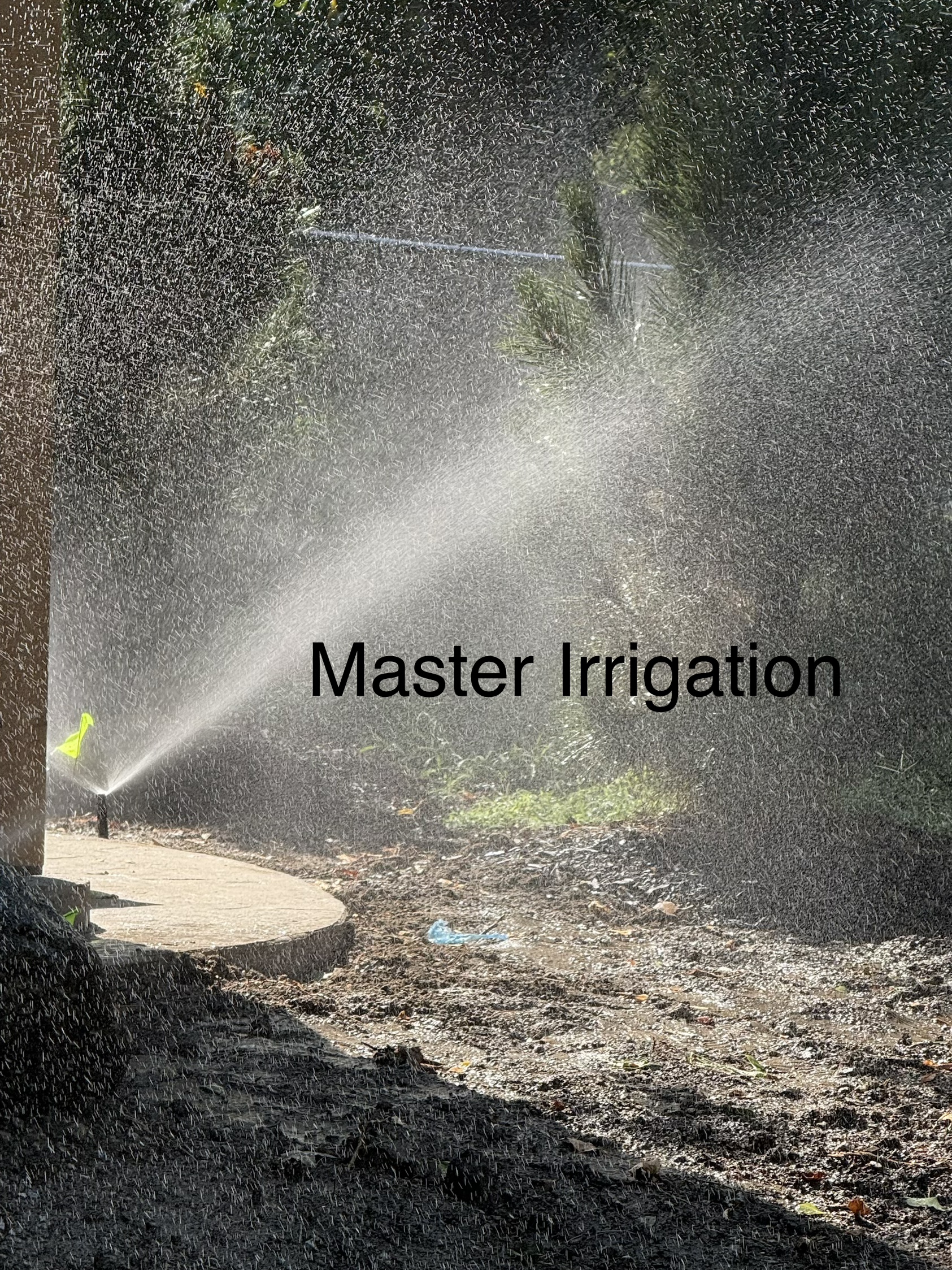 Sprinkler head running a full spray pattern under trees